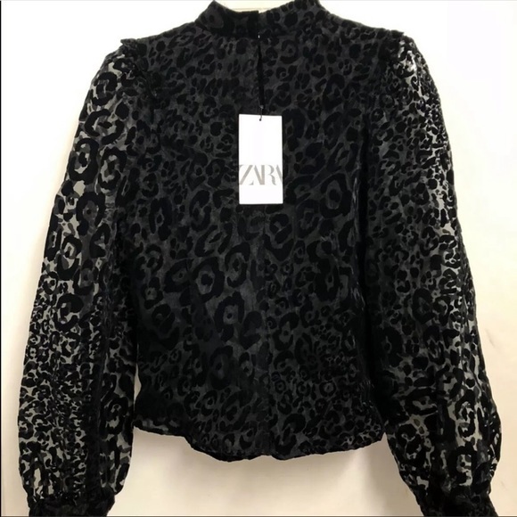 Zara NWT organza blouse - Picture 9 of 10